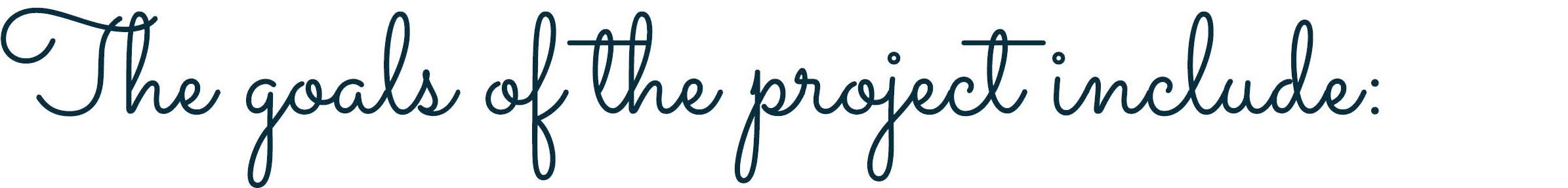 Goals of project