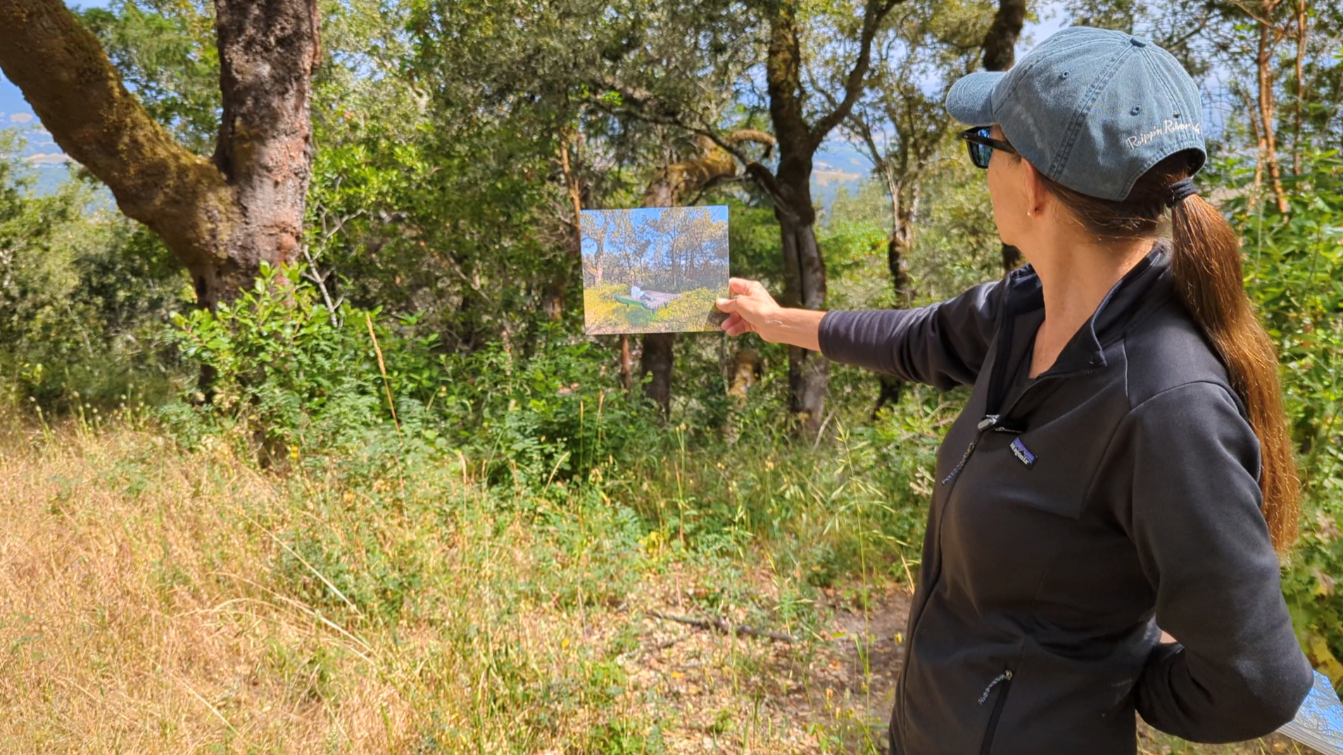 Fitch Mountain Artwork Proposal - Site Walk with Artist Johanna Grawunder