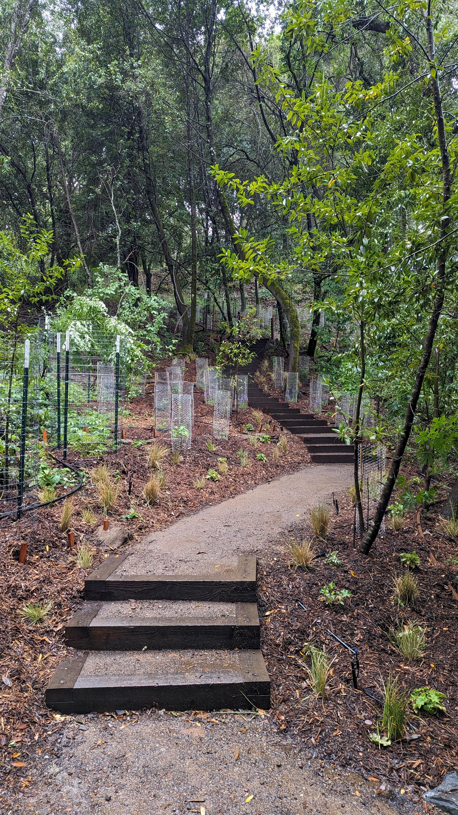 Fitch Mountain Access